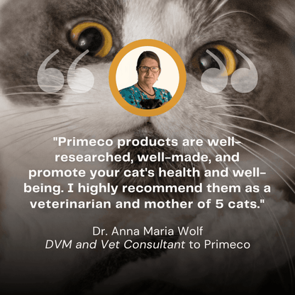 Primeco™ cat grass teething stick