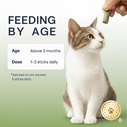 Primeco™ cat grass teething stick